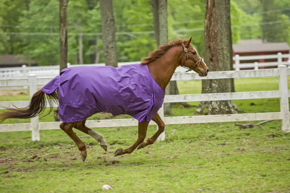 TuffRider 1600 D Super Comfy Standard Neck Blanket JPC Equestrian