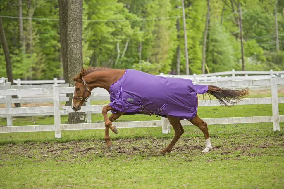 TuffRider 1600 D Super Comfy Standard Neck Blanket JPC Equestrian
