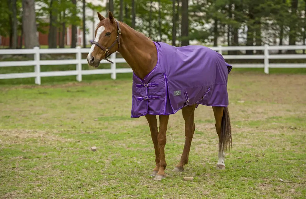 TuffRider 1600 D Super Comfy Standard Neck Blanket JPC Equestrian
