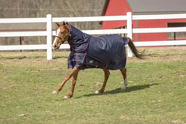 Tuffrider Comfy Heavy Weight Detachable Neck Winter Blanket with 350 gms of Fill JPC Equestrian
