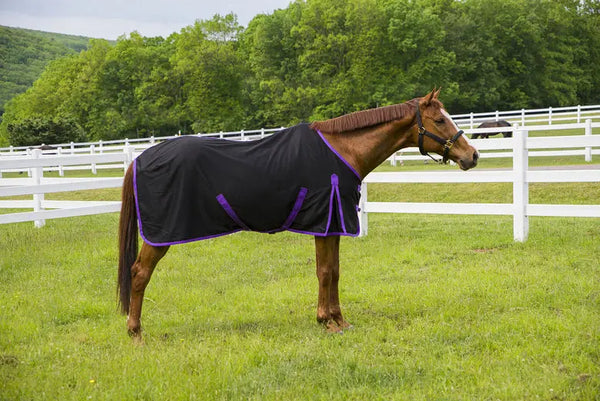 Tuffrider Kozy Komfort Stable Sheet JPC Equestrian
