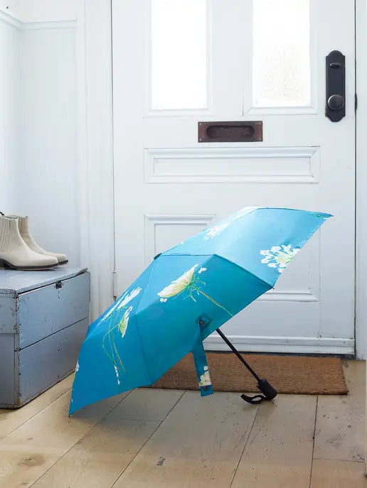 Umbrella India & Purry