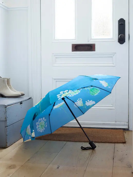 Umbrella India & Purry
