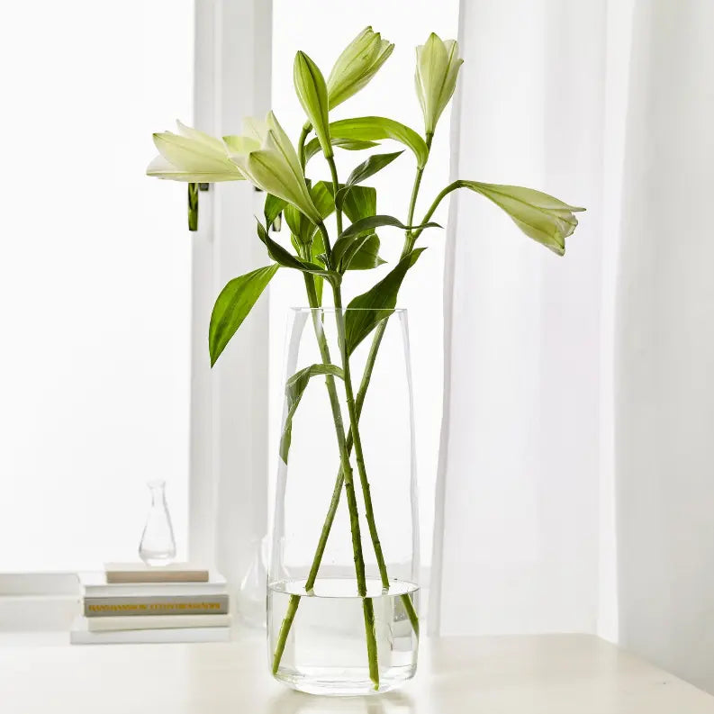 VERRE Clear Glass 18" Zen Vase Red Pomegranate Collection