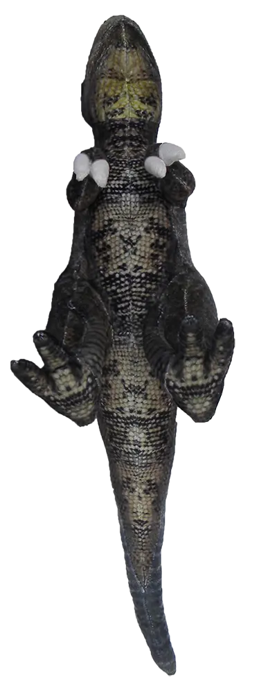 Velociraptor 19.5" Plush Dinosaur Stuffed Animal Texas Toy Distribution