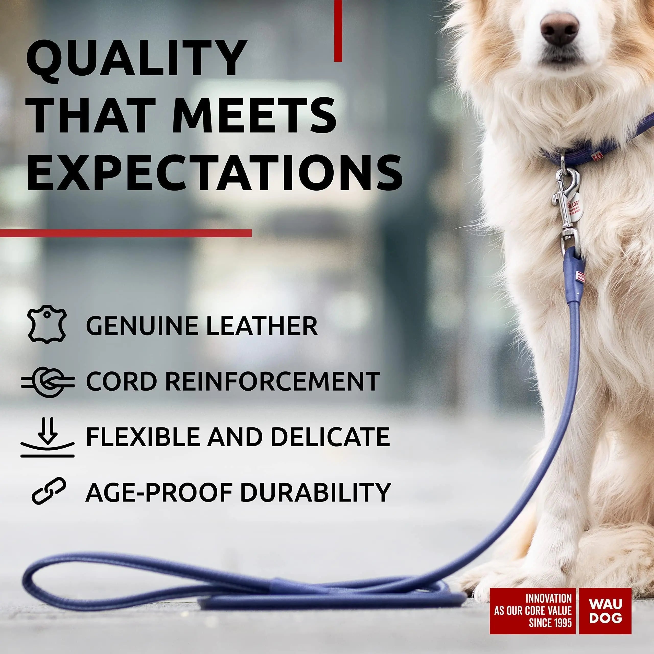 WAUDOG Rolled Leather Dog Leash 4Ft * 0.4 in for Small Medium and Large Dogs   Heavy Duty Leather Puppy Leash for Outdoor Walking Running Training   Strong Dog Leashes for Large Breed Dogs (Purple) Waudog