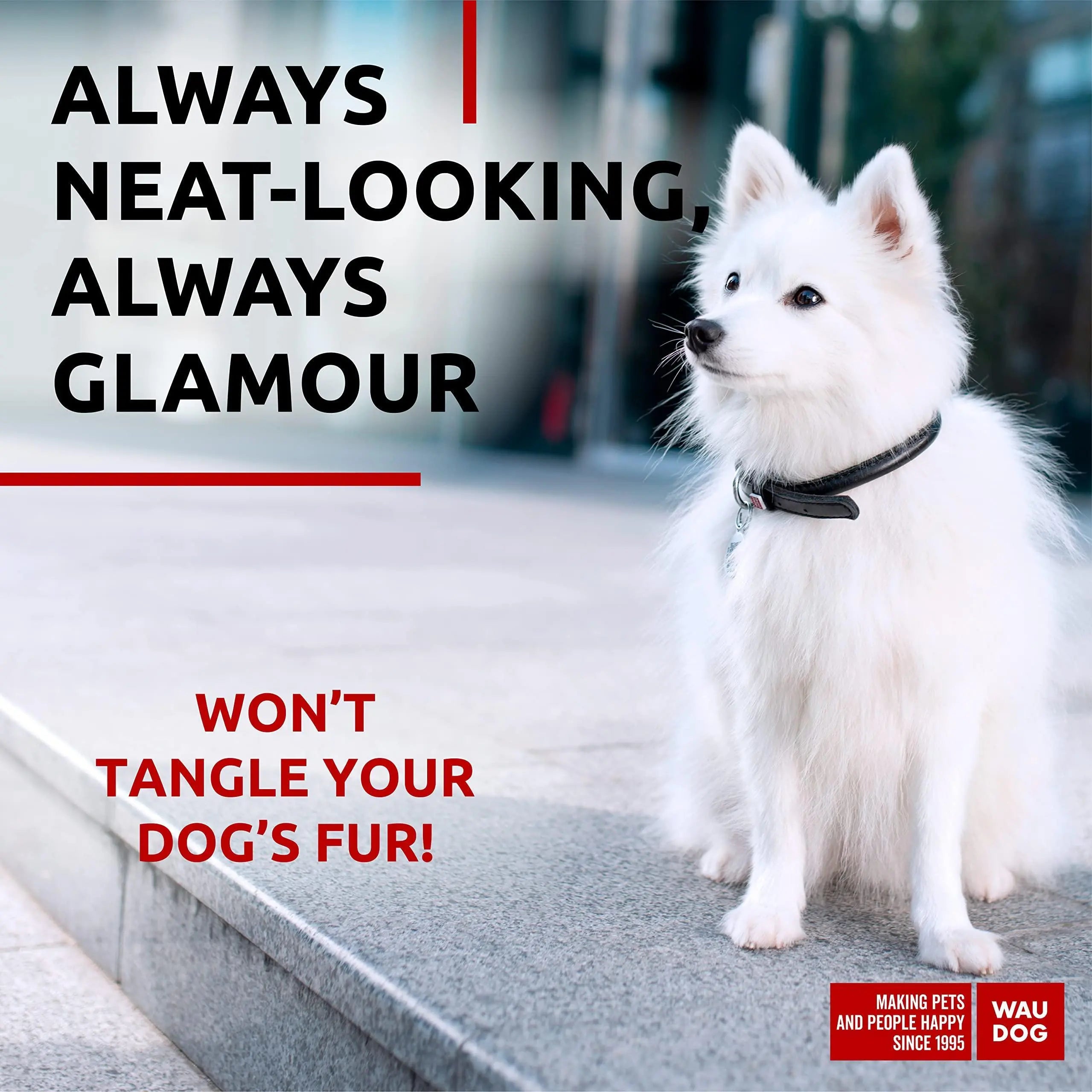 WAUDOG Ultra Soft Rolled Leather Dog Collar for Small Dogs   Soft Padded Dog Collars for Medium Dogs   Puppy Collars for Large Breed Dogs   Male and Female Dog Collar Waudog