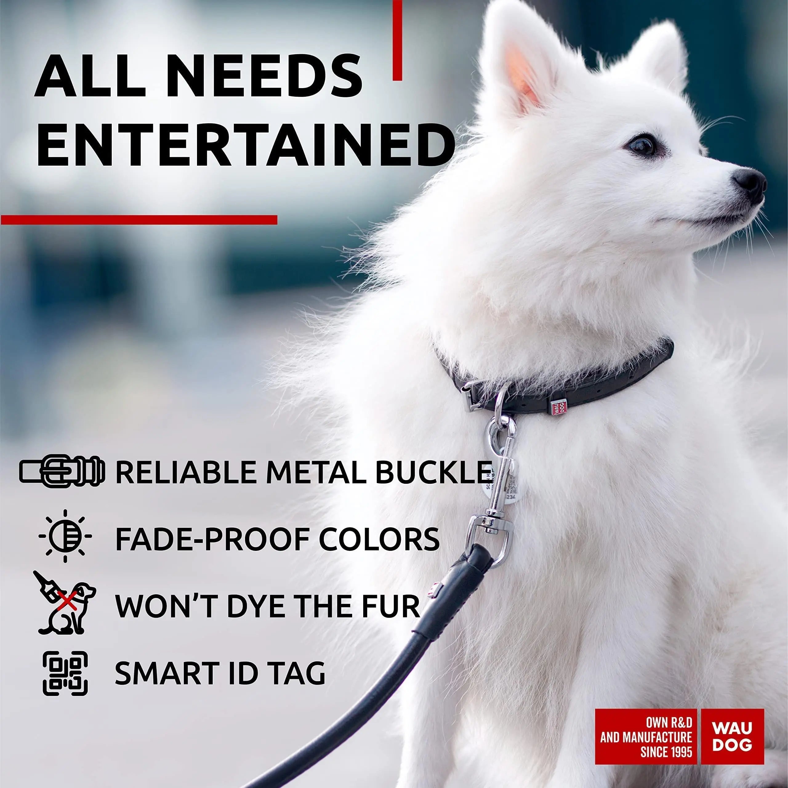 WAUDOG Ultra Soft Rolled Leather Dog Collar for Small Dogs   Soft Padded Dog Collars for Medium Dogs   Puppy Collars for Large Breed Dogs   Male and Female Dog Collar Waudog