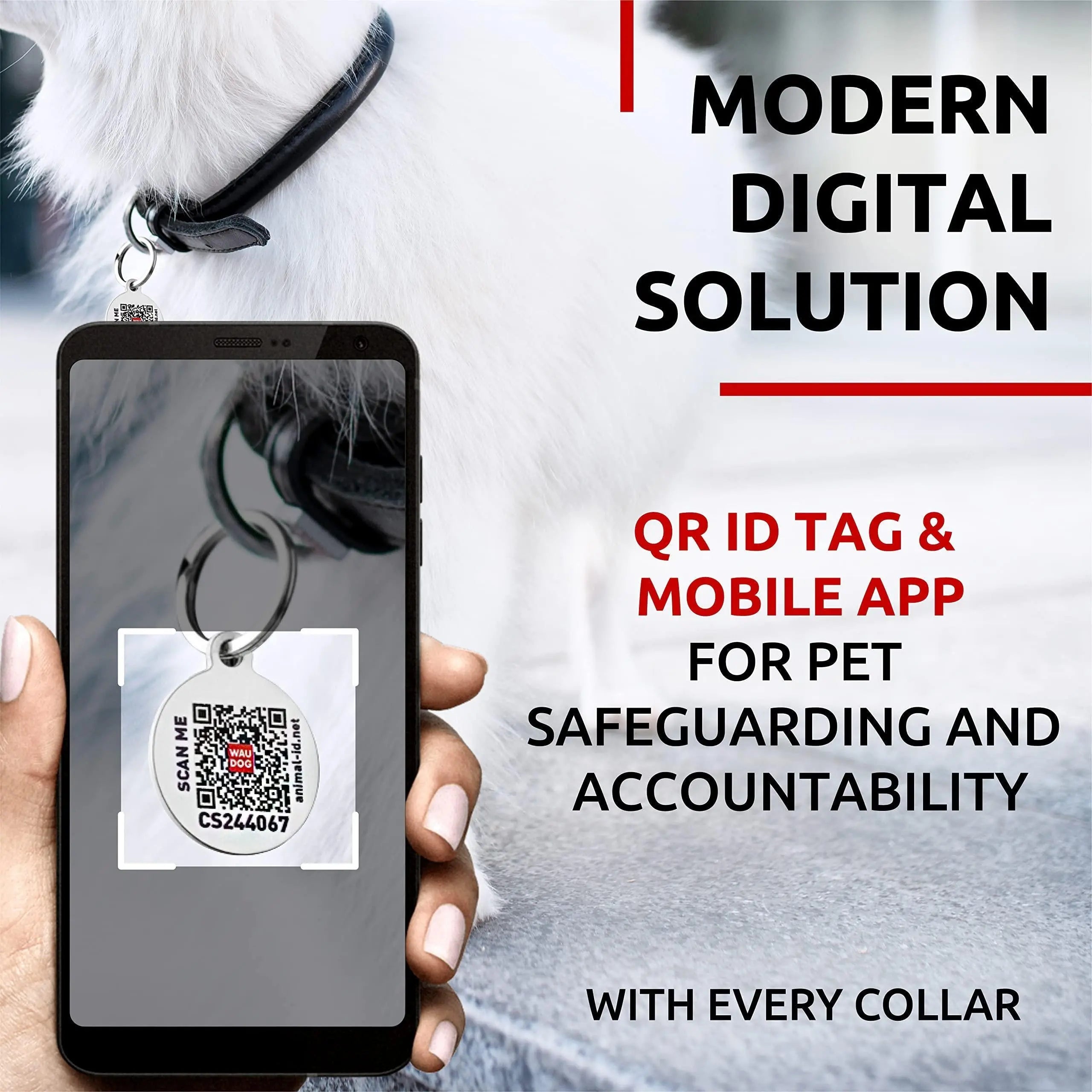 WAUDOG Ultra Soft Rolled Leather Dog Collar for Small Dogs   Soft Padded Dog Collars for Medium Dogs   Puppy Collars for Large Breed Dogs   Male and Female Dog Collar Waudog