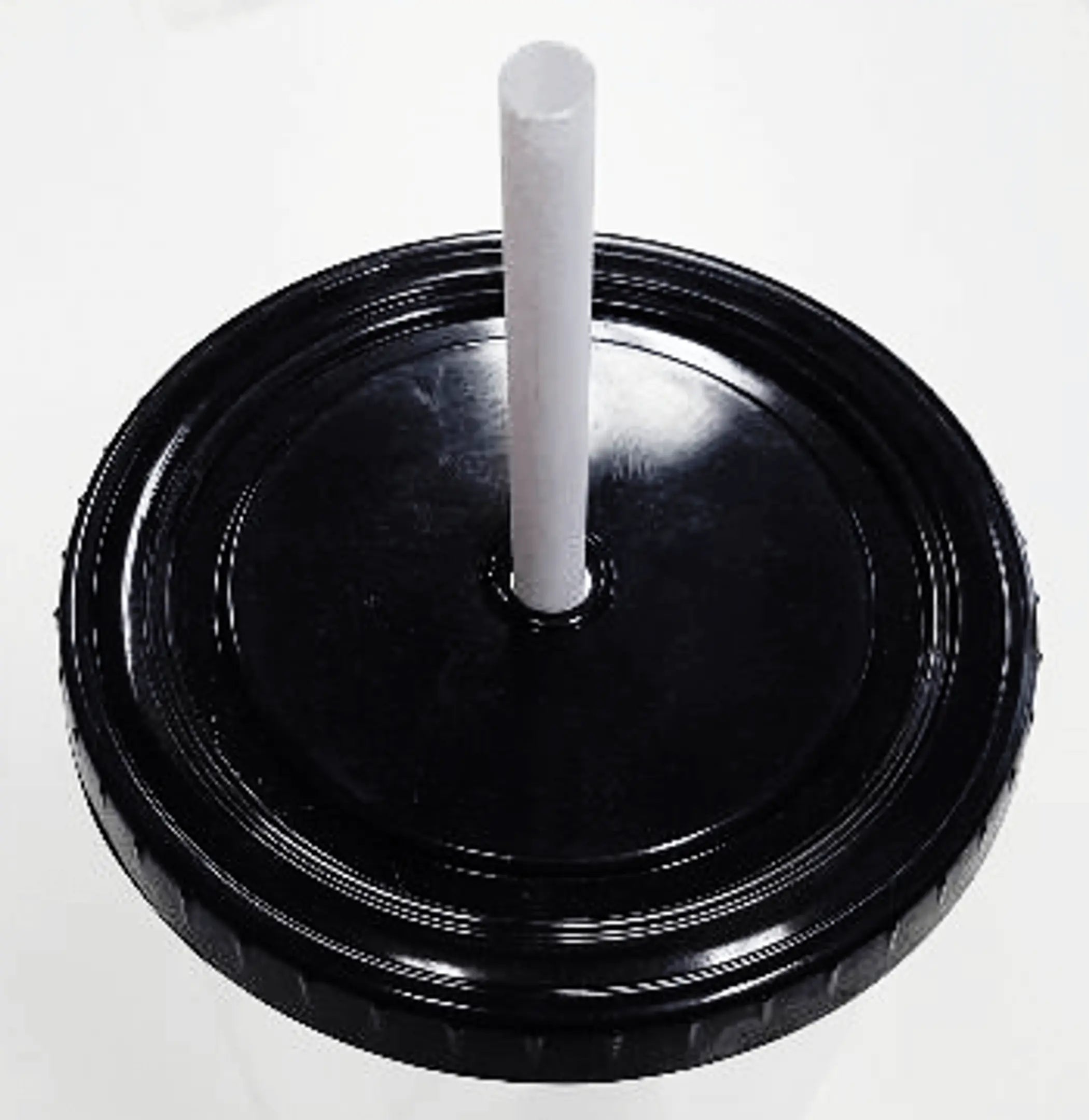 Wacky COOL Cup Suzy Toronto