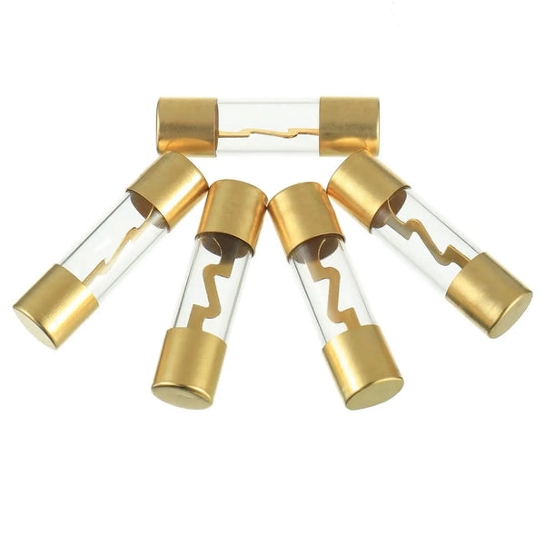 Xscorpion Agu 100 Amp Fuse – Gold Plated Ends (5 Pack) Xscorpion