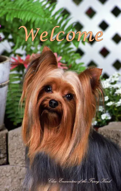 Yorke - Close Encounters of the Furry Kind Welcome  House and Garden Flags Best of Breed