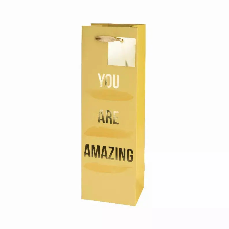 You Are Amazing Single-Bottle Wine Bag By Cakewalk True Brands