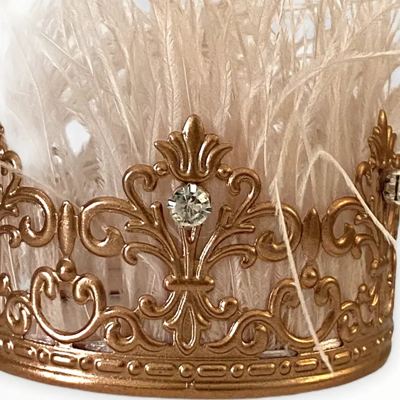 Zsa Zsa Glamour Girl Crown Bark Fifth Avenue