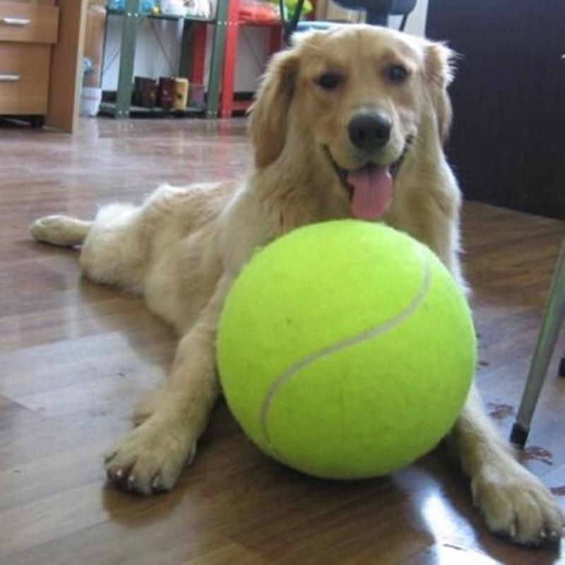 Giant Tennis Ball For Pet Chew Toy Big Inflatable Tennis Ball Signature Mega Jumbo Pet Toy Ball Supplies Outdoor Cricket