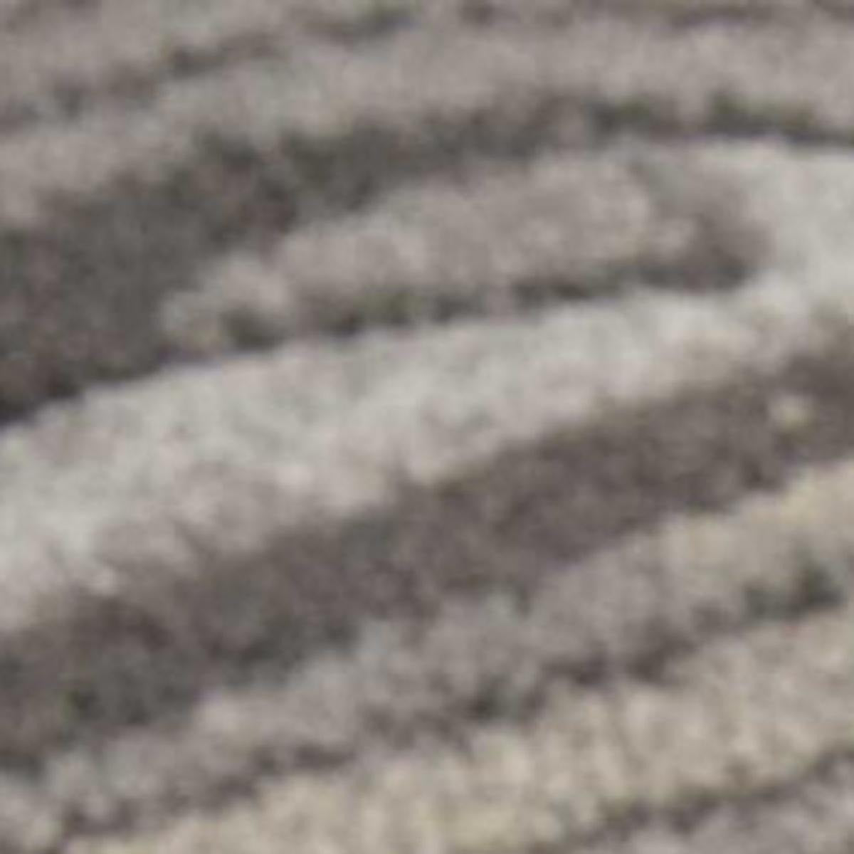 4' X 6' Graphite and Black Floral Vines Area Rug - Home & Garden