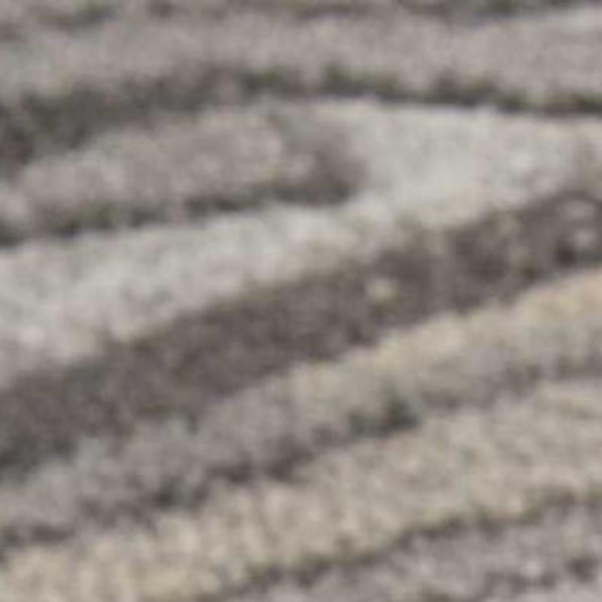 4' X 6' Graphite and Black Floral Vines Area Rug - Home & Garden