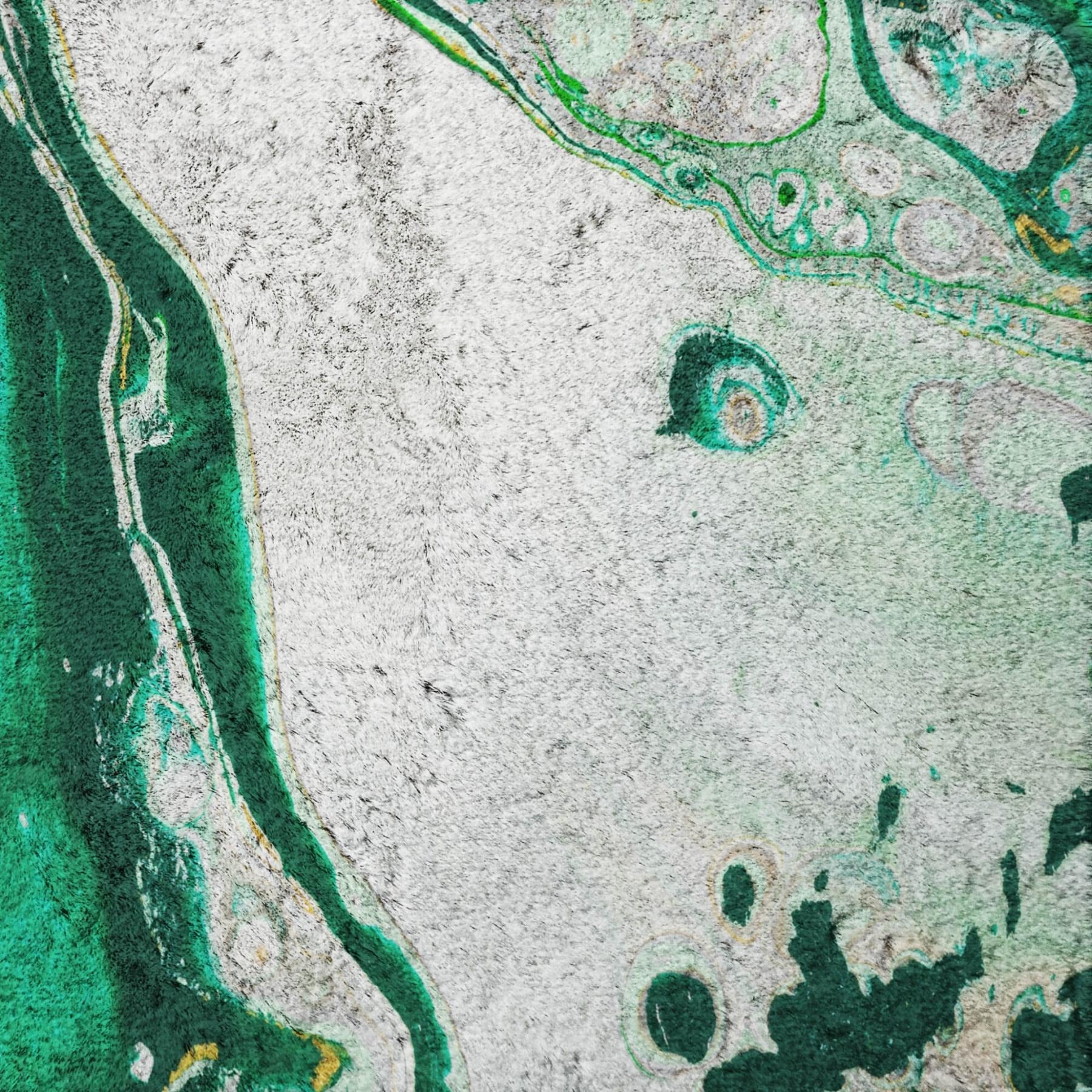 3' X 5' Green And Ivory Abstract Shag Washable Area Rug With UV Protection - Home & Garden