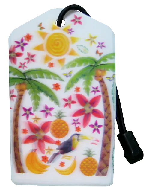 z Luggage Tag En Route Travelware