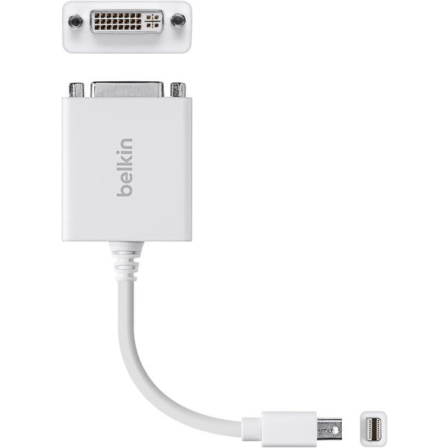 Belkin Mini DisplayPort/DVI Video Cable Default Title