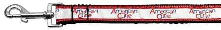 American-Cutie-Nylon-Dog-Leash-3-8-Inch-Wide-6ft-Long-GreatEagleInc-318482465