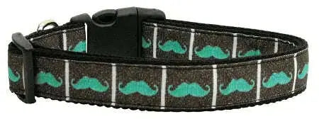 Aqua-Moustaches-Nylon-Dog-Collar-Xs-GreatEagleInc-318480762
