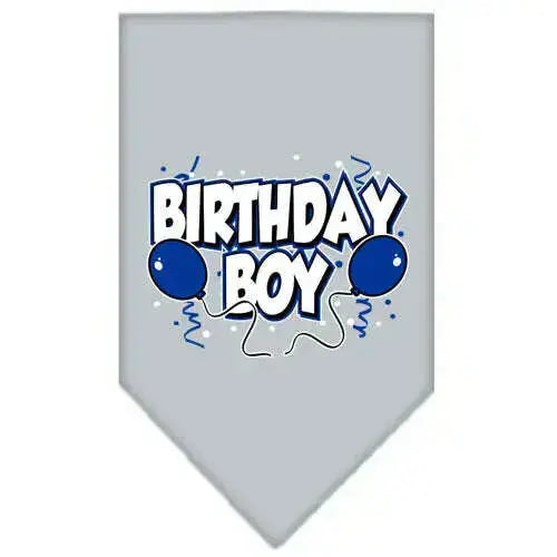 Birthday-Boy-Screen-Print-Bandana-Grey-Small-GreatEagleInc-319220521