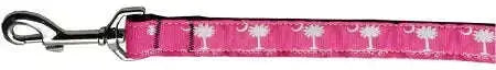 Carolina-Girl-Nylon-Dog-Leash-3-8-Inch-Wide-4ft-Long-GreatEagleInc-318766358