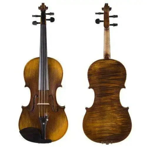 Cecilio-CVN-600-Hand-Oil-Rub-Highly-Flamed-1-Piece-Back-Solidwood-Violin-with-D_Addario-Prelude-Strings_-Size-4-4-_Full-Size_-Cecilio-318417746