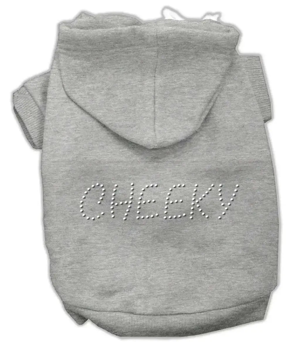 Cheeky-Hoodies-Grey-L-GreatEagleInc-319604986