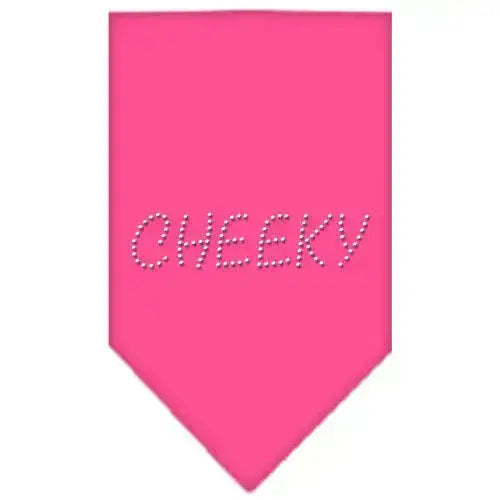 Cheeky-Rhinestone-Bandana-Bright-Pink-Large-GreatEagleInc-319063114