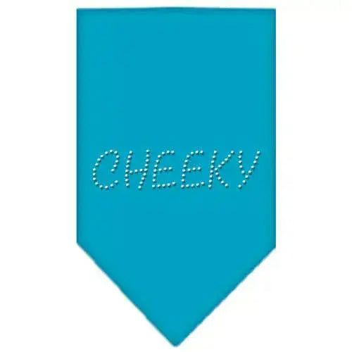 Cheeky-Rhinestone-Bandana-Turquoise-Large-GreatEagleInc-318982832