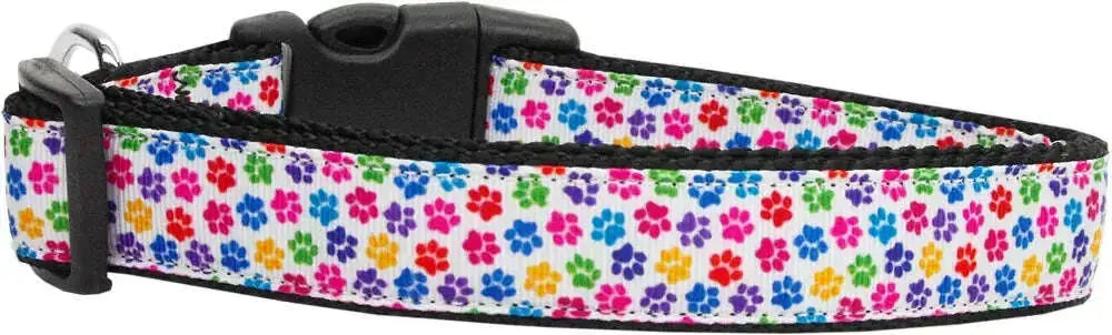 Confetti-Paws-Nylon-Dog-Collar-Medium-Narrow-GreatEagleInc-320031867