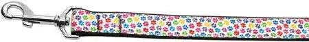 Confetti-Paws-Nylon-Dog-Leash-5-8-Inch-Wide-4ft-Long-GreatEagleInc-320032186