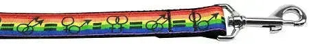 Equality-Nylon-Dog-Leash-5-8-Inch-Wide-4ft-Long-GreatEagleInc-318787929