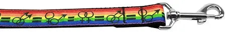 Equality Nylon Dog Leash 5/8 Inch Wide 4ft Long Default Title