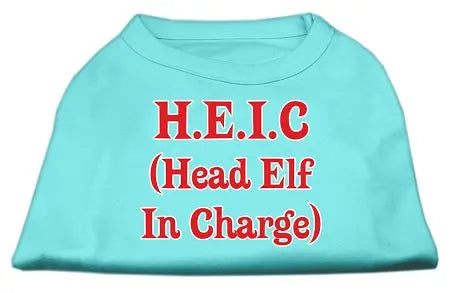 Head Elf In Charge Screen Print Shirt Aqua Sm Default Title