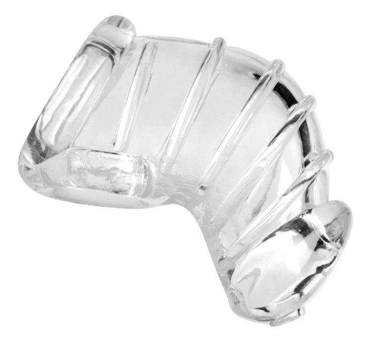 Master Series Detained Chastity Cage XR Brands