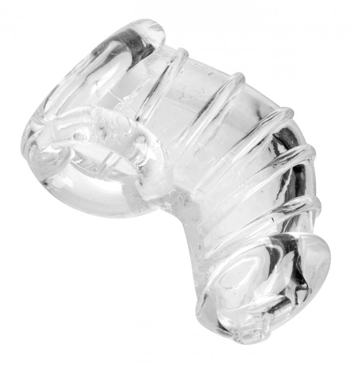 Master Series Detained Chastity Cage XR Brands