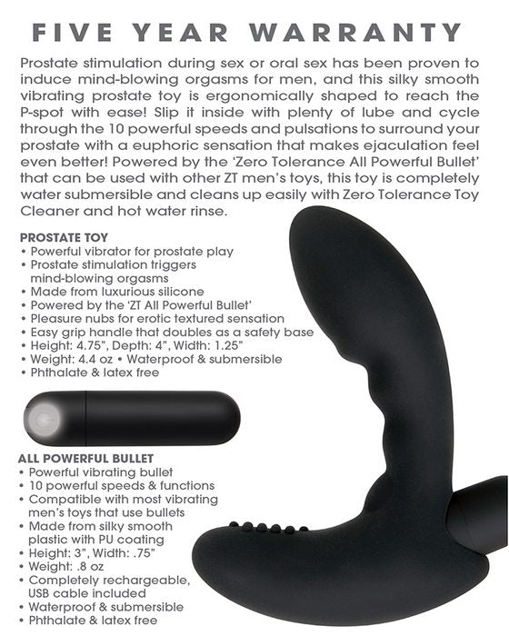 Zero Tolerance Eternal P Spot Prostate Massager Black Evolved Novelties