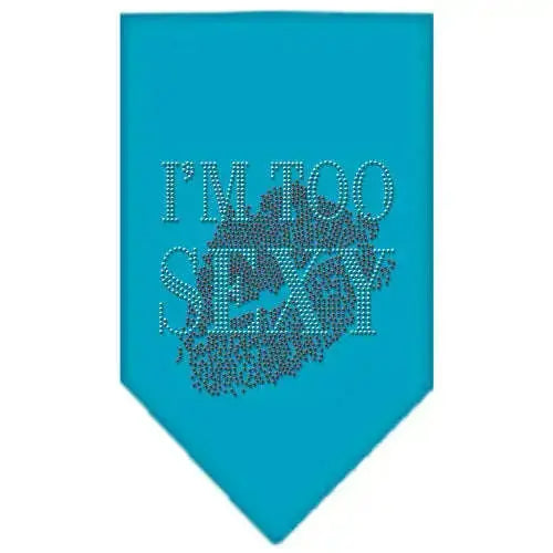 I_m-Too-Sexy-Rhinestone-Bandana-Turquoise-Large-GreatEagleInc-319299444