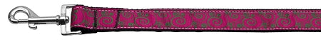 Pink And Lime Swirly Nylon Dog Leash 3-8 Inch Wide 4ft Long GreatEagleInc