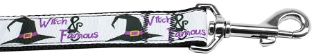 Witch And Famous Nylon Dog Leash 3-8 Inch Wide 4ft Long GreatEagleInc