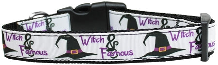 Witch And Famous Nylon Dog Collar Medium Narrow GreatEagleInc