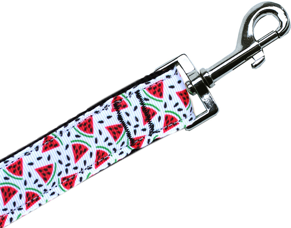 Watermelon Nylon Pet Leash 5/8in By 4ft Default Title