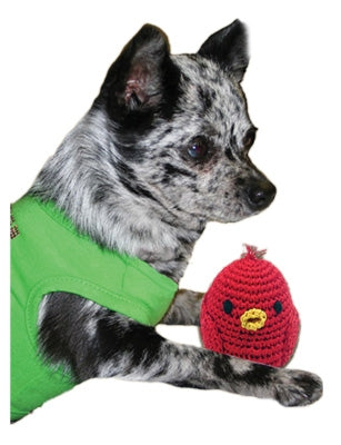 Knit Knacks Rockin Robin Organic Cotton Small Dog Toy GreatEagleInc