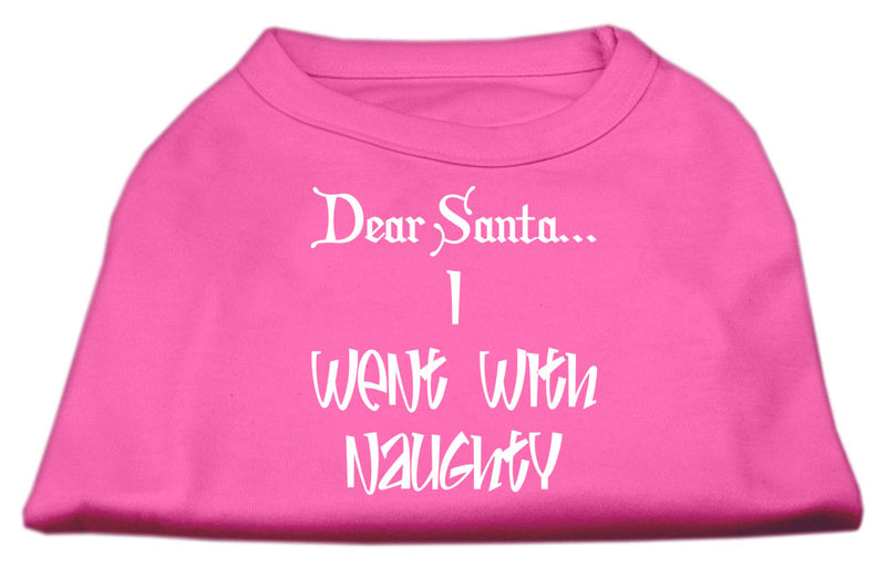 Dear Santa I Went With Naughty Screen Print Shirts Bright Pink Sm GreatEagleInc