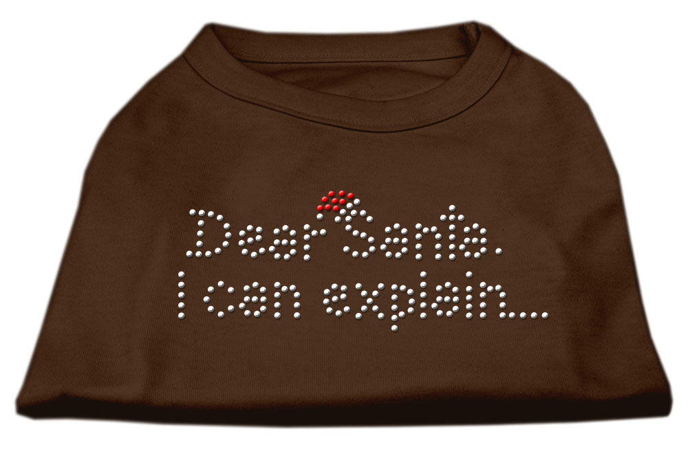 Dear Santa I Can Explain Rhinestone Shirts Brown Lg GreatEagleInc