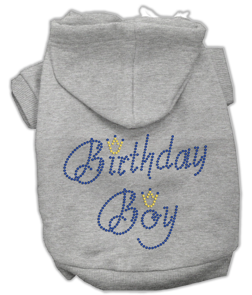 Birthday Boy Hoodies Grey L GreatEagleInc