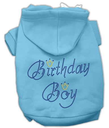 Birthday Boy Hoodies Baby Blue Xl GreatEagleInc